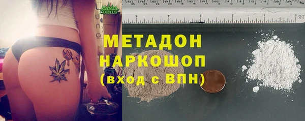 стаф Магас