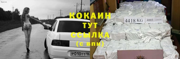 дживик Майский