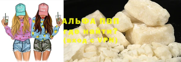 дживик Майский