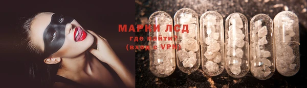 стаф Медногорск