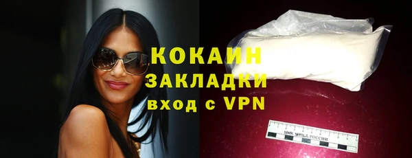 стаф Магас