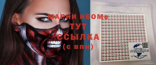 стаф Медногорск