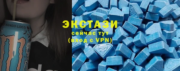 стаф Медногорск
