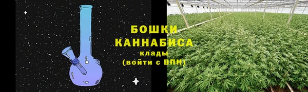 стаф Медногорск