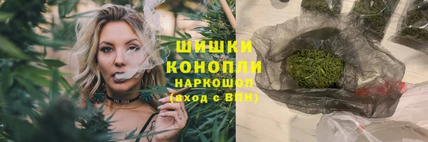 стаф Медногорск