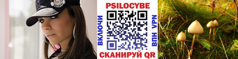 Купить  Звенигород  Галлюциногенные грибы Psilocybe 